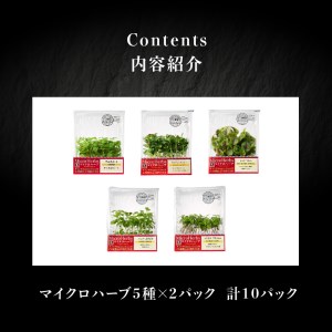 【マイクロハーブ セット（C）／プレミア5】 [h173]