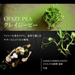 【マイクロハーブ セット（D）／スターターA】 [h173]