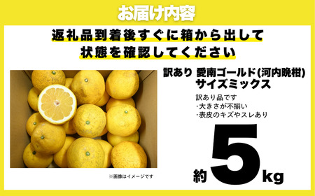 訳あり 河内晩柑 5kg 愛南ゴールド 河内晩柑