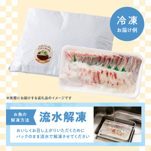 【単月お届け】大和の高級お刺身　6人前【冷凍】 N072-YA6611-2