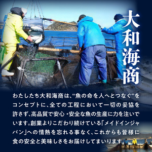 【12ヶ月定期便】大和の高級お刺身　6人前【冷蔵】 N072-YG0259-1