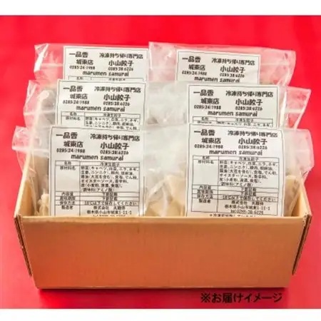 冷凍餃子専門店 小山餃子[Sセット全45個] ひとくち餃子30個/大きい餃子15個【配送不可地域：離島】【1277803】