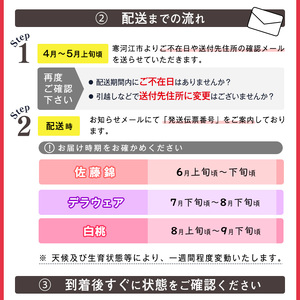 《先行予約》令和8年産 3回定期便 「フルーツ 定期便 紬（つむぎ）」 2026年産 山形県産 【2026年6月上旬頃から発送開始予定】※配送不可 沖縄・離島  041-B-MM083