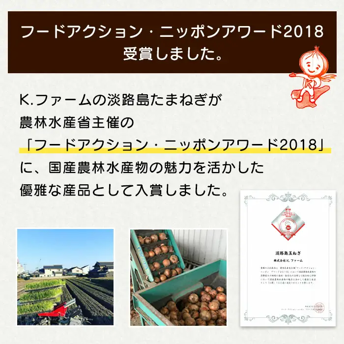 【新玉ねぎ】淡路島玉ねぎ 大きな2Lサイズ 5kg【発送時期：2026年3月下旬～6月頃】