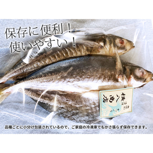 DL6001n_しらす ・ 干物 おまかせ詰め合わせ セット A