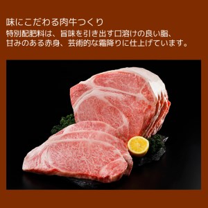 isa337 鹿児島県産黒毛和牛 伊佐黒王牛サーロインステーキ！(計500g・250g×2パック) ブランド牛 牛肉 国産 九州産 鹿児島県産 サーロイン 焼肉 ステーキ肉 和牛 ギフト 肉 贈り物 プレゼント【プラン・ビー】