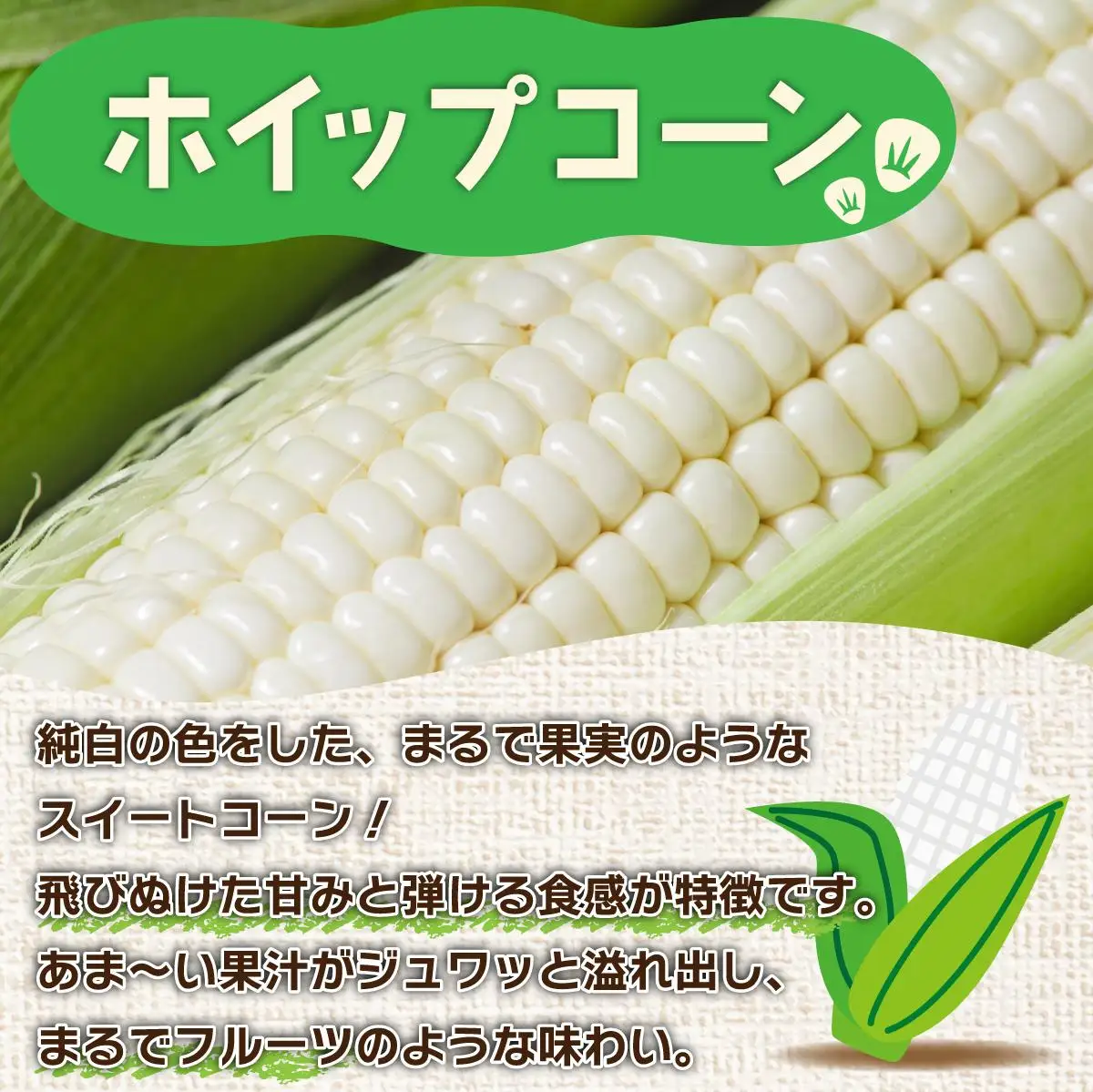 ＜先行予約＞北海道産 とうもろこし(恵味/ホイップコーン) 計20本【55250487】