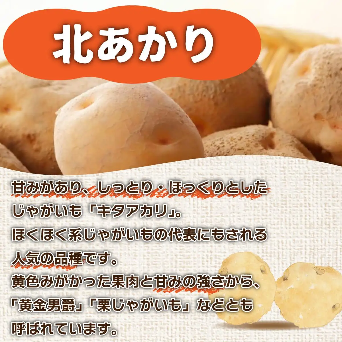 ＜先行予約＞北海道産 じゃがいも2種(とうや/北あかり) 約10kg【55250488】