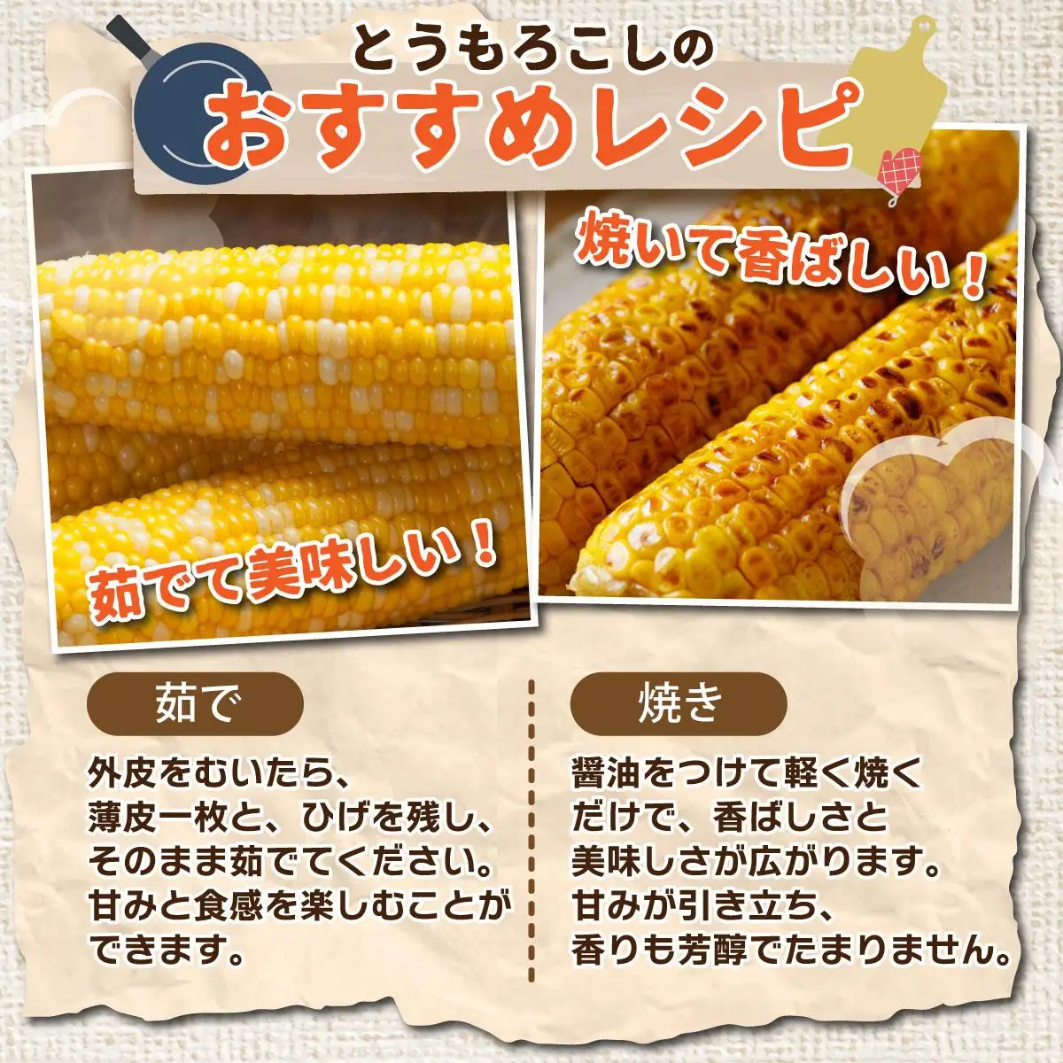 ＜先行予約＞北海道産 とうもろこし 恵味 Lサイズ 10本【55250484】