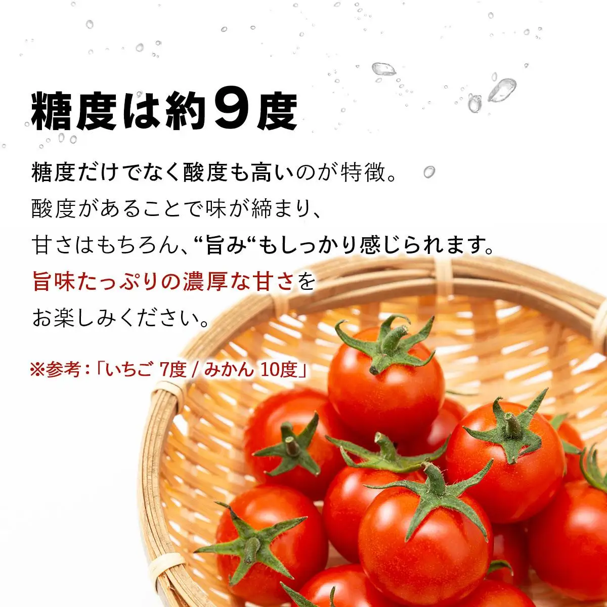 【2026年先行予約】北海道産 ミニトマト ネネ 約3kg フルーツトマト プチトマト 甘い 濃厚 彩り 鮮やか 希少 お中元 お歳暮 暑中見舞い 帰省土産 ご自宅用 産地直送 大滝農園 送料無料 北海道