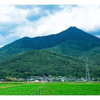 半熟せんべい 5袋詰合せ クアトロセット 半熟カレーせん 半生しょうゆせん 半熟もんじゃ煎餅 半熟キャラメルせんべい カレー味 かつおだし 甘辛ソース 新食感 もんじゃ ぬれせんべい せんべい 煎餅 煎餅屋仙七 [AO008sa]