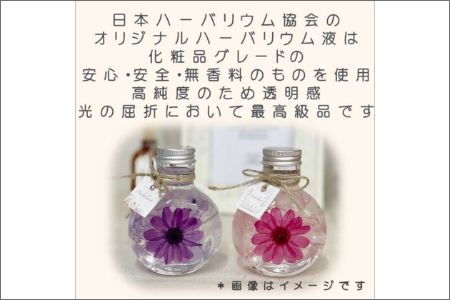 【0369-3】コロンと可愛いボトルに大輪のジニア入りハーバリウムセット