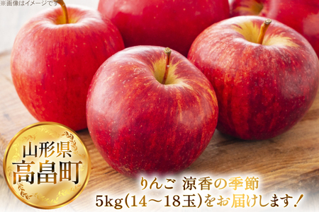 【期間限定発送】 りんご 高畠町産 涼香の季節 14～18玉 5kg [JA山形おきたま 山形県 高畠町 tk06ays870045]