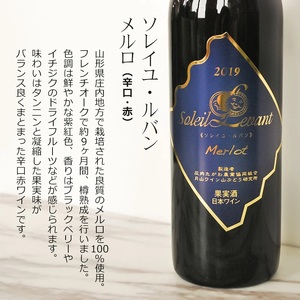 B03-203　庄内の『カベルネソーヴィニヨン』『メルロ』赤ワイン2本セット