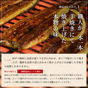 国産うなぎ蒲焼きざみセット（きざみ80g×4袋、蒲焼たれ100ml×1本）【配送不可：離島】 魚貝類 