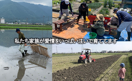 自然尊重で育てた安全な美味しい自然米ハツシモ（玄米）5kg お米 