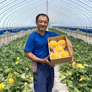 メロン 5kg 3玉 － 6玉 クレオパトラ 樋口農園 | 219M