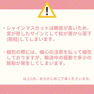 シャインマスカット 1房 700g 種なし 潮騒 熟成 特選 ハワイ | 31M