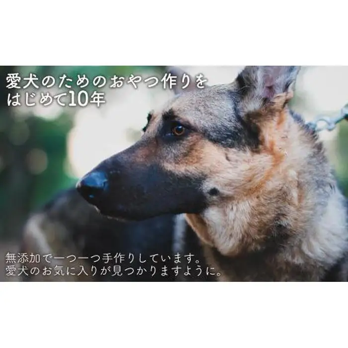 【大中小型犬向け】国産牛アキレス 1kg(500g×2) 無添加 手作り