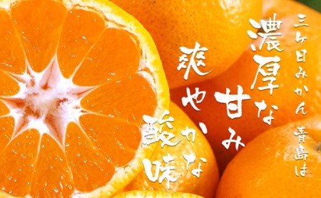 【2026年2月中旬以降順次発送】三ヶ日 みかんジュース あおしま 180ml 30本 ストレート ジュース 100％ジュース 100% 果汁100％ 三ヶ日みかん みかん 温州みかん 温州みかんジュース 静岡県 浜松市