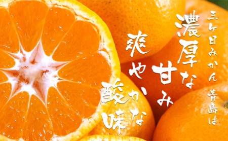 三ヶ日みかんジュース「浜名湖まるごと純粋搾り」720ml 6本【静岡 三ヶ日 みかん ジュース】 果汁飲料 野菜飲料 三ケ日みかん 青島 