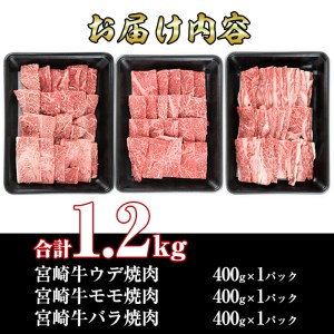 宮崎牛焼肉セット(合計1.2kg・ウデ焼肉400g、モモ焼肉400g、バラ焼肉400g)九州産 黒毛和牛  冷凍【R-55】【ミヤチク】