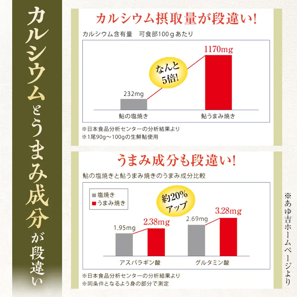 鮎まんまの素（２合用×２パック）