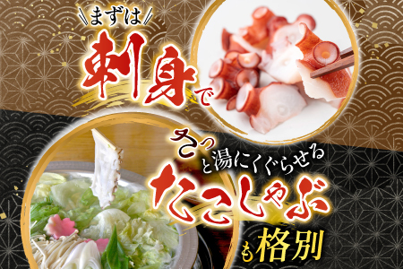 【北海道根室産】たこ足800g～1.4kg×1本 A-36051