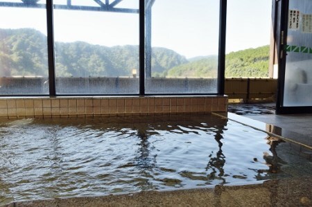 【プライベート花火付き！】入鹿温泉ホテル瀞流荘ペア宿泊券 一泊二食付きS【irsi0004】