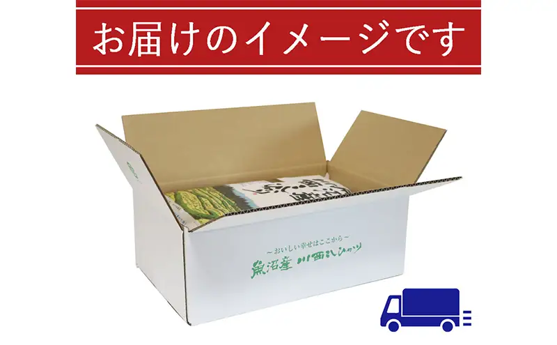 魚沼産川西こしひかり5kg×2