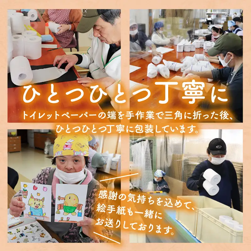 トイレットペーパー定期便「D」【障がい者支援の返礼品】 雑貨 日用品 生活支援 サポート 