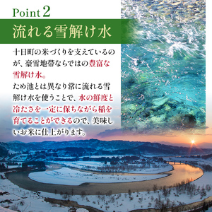 令和7年度産【十日町産】 魚沼産コシヒカリ5kg 米 お米 こしひかり 精米 新潟 