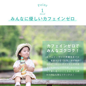 爽健美茶 PET 600ml（24本入） ノンカフェイン  ブレンド茶 植物の恵み 水分補給 人気 コカ・コーラ BB-0003