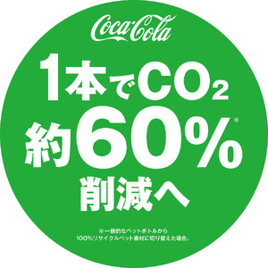 コカ・コーラ 500mlPET（24本入）ペットボトル 炭酸 炭酸飲料 コカコーラ  PET リサイクル  BB-0005