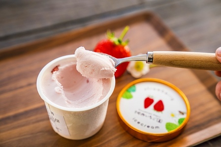 数量限定！いちご農園のアイスクリーム12個パック 完熟いちご アイス アイスクリーム 河西いちご園 完熟いちご  AM-0009