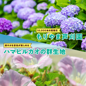 観光タクシー（普通車貸切2時間分） CA-0005