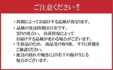 【先行予約】大玉で濃厚な讃岐もも 約3kg 8月出荷 品種おまかせ 【国産もも 桃 白桃 白鳳 あかつき 清水白桃 なつおとめ 川中島白桃 まどか 黄金桃 西大母 飯田桃園 さぬき市】