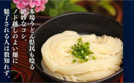 二段熟成半生さぬきうどん 24人前(300g×8袋) だし・うどんつゆ付き(鎌田醤油)