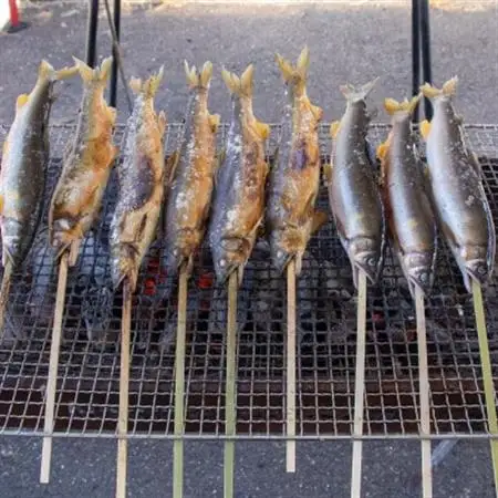 〈清流・高津川産〉香味豊かな天然鮎の炭火塩焼き1匹入りレトルト×2袋【1287879】