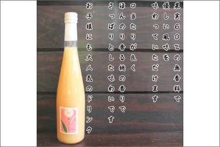 【7004-5】あら川の桃　60％果実入りドリンク500ml×3本