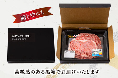 宮崎牛 ロース ステーキ 2枚 計500g [ミヤチク 宮崎県 美郷町 31au0093]