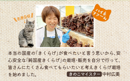 灰猫のきくらげカレー　１セット／１８０g５袋／レトルトカレー サンシャイン池崎 ねこ ネコ 保護猫