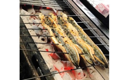 国産うなぎ白焼き (1匹) [0847]