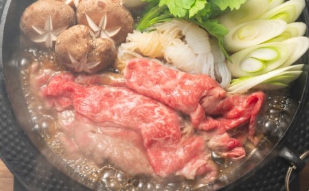 牛肉 切り落とし 500g しゃぶしゃぶ すき焼き 500g 博多和牛 A4～A5 セット 合計1kg 配送不可：離島 