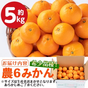 農6みかん 約5kg みかん 【江崎果樹園】 i585