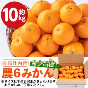 農6みかん 約10kg みかん 【江崎果樹園】 i593