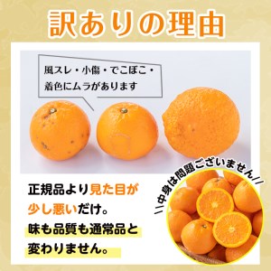 i594 ＜2026年3月下旬～6月中旬の間に発送予定＞《傷ありのため訳あり》農6みかん(約10kg) 果物 フルーツ 柑橘 国産 鹿児島県産 みかん 蜜柑 【江崎果樹園】