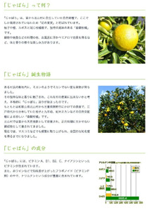 V6228_じゃばら果汁 360ml×10本 100％ストレート果汁 邪払 ジャバラ じゃばら 果汁 北山村 / 紀伊国屋文左衛門本舗