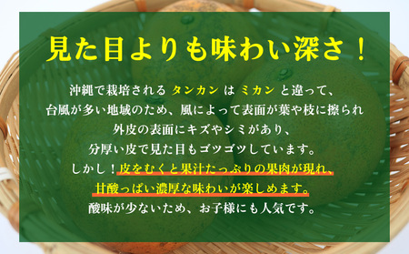 たんかん【2027年発送】大宜味村 たんかん 約10kg 沖縄