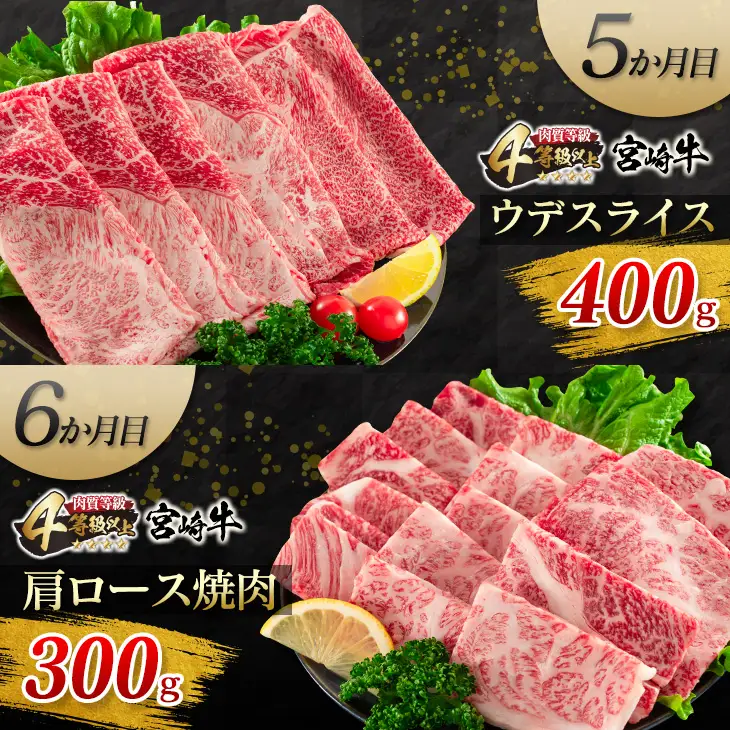 6か月 お楽しみ 定期便 宮崎牛 焼肉 スライス セット 総重量2.2kg 牛肉 ビーフ 黒毛和牛 国産 ブランド牛 すき焼き しゃぶしゃぶ 焼しゃぶ 炒め物 BBQ うで 肩ロース もも ばら ご褒美 お祝い 記念日 A4 4等級以上 お取り寄せ グルメ 宮崎県 日南市 送料無料_KB1-23
